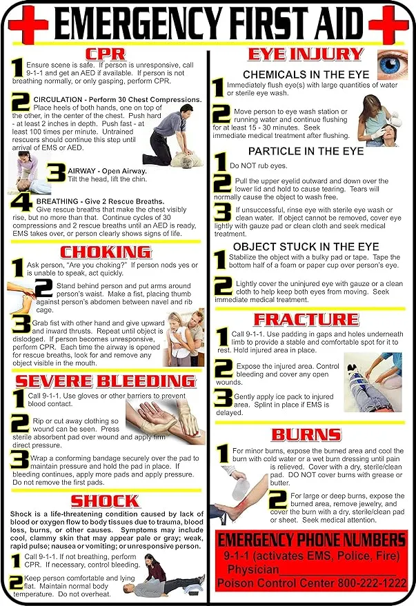 First Aid and Choking Poster 11 x 17 Laminated Includes CPR Shock Eye Injury Fracture Burns Severe Bleeding & Choking