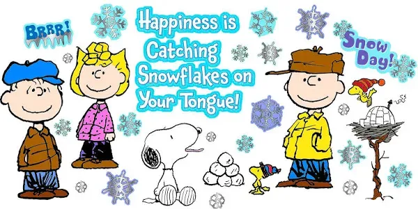 Classroom Bulletin Board Set, Peanuts Happiness Is A Snowflake Winter 39 Piece